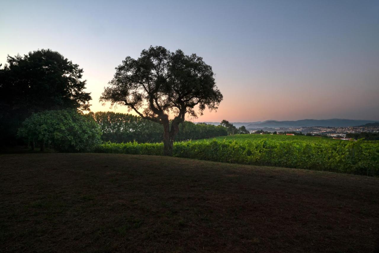 Вилла Braga House & Wine Экстерьер фото