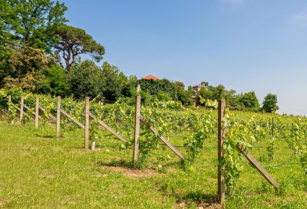 Вилла Braga House & Wine Экстерьер фото