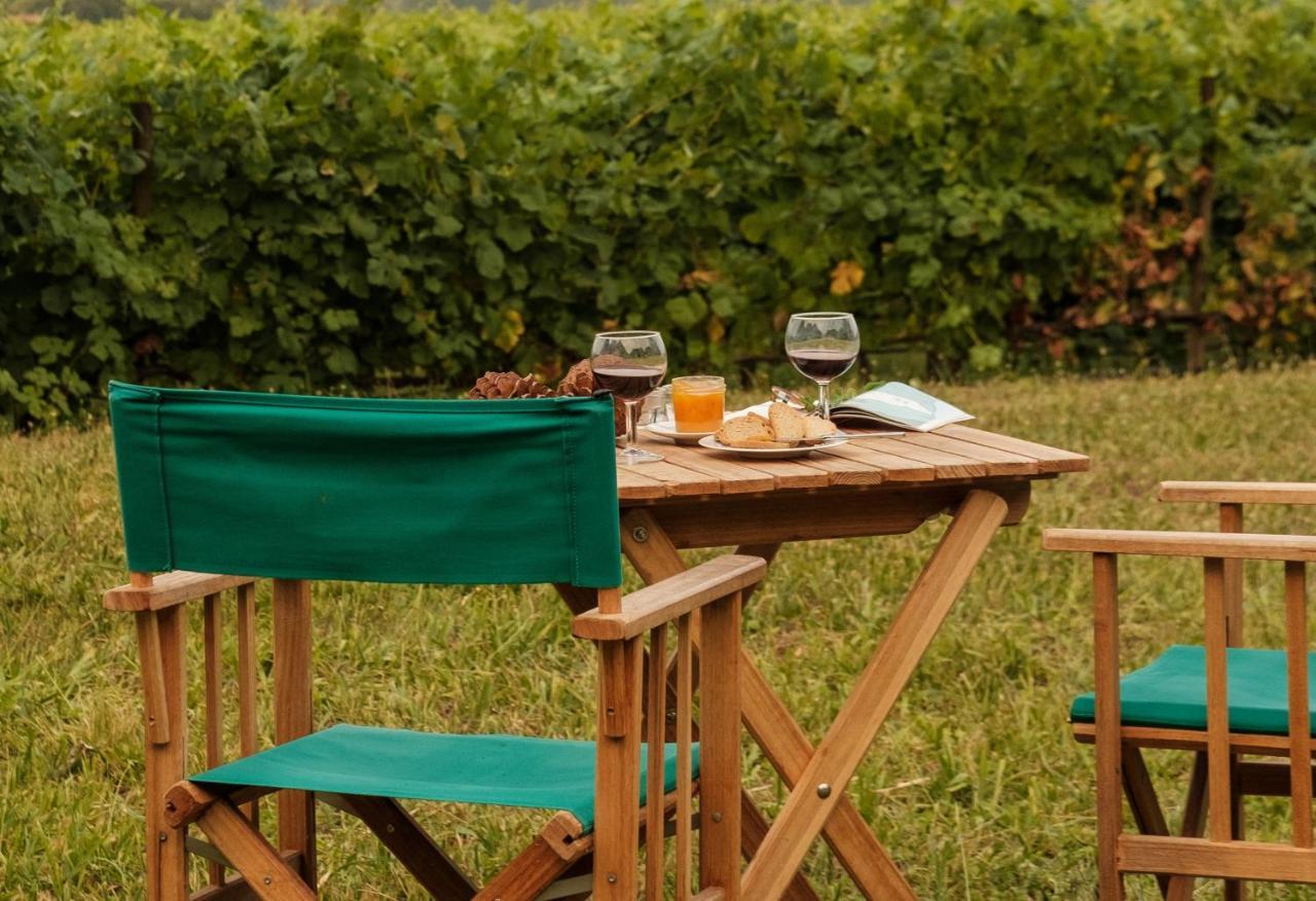 Вилла Braga House & Wine Экстерьер фото